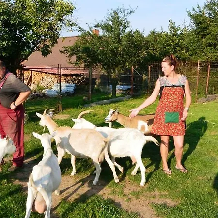 Frantiskova Farma Tatil Evi Novy Knin
